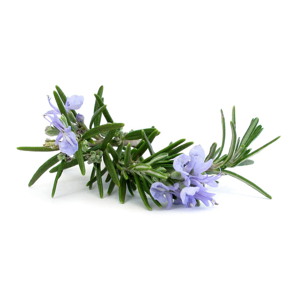 Benamôr - Alecrim Foot Cream - Voedende Voetencreme - Beauty Junkies