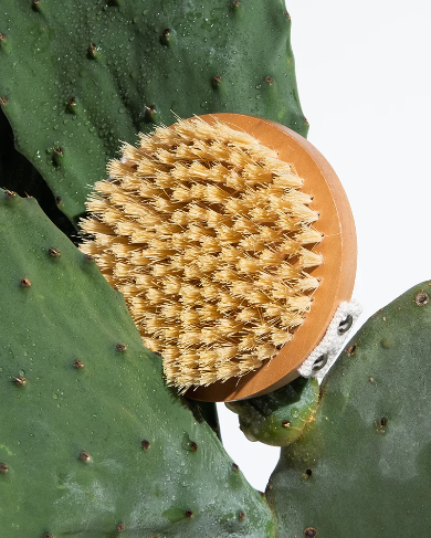 LEGOLOGIE - LYMPH -LITE BOOM BROST POUR LES LAGS - DROOGBROEST