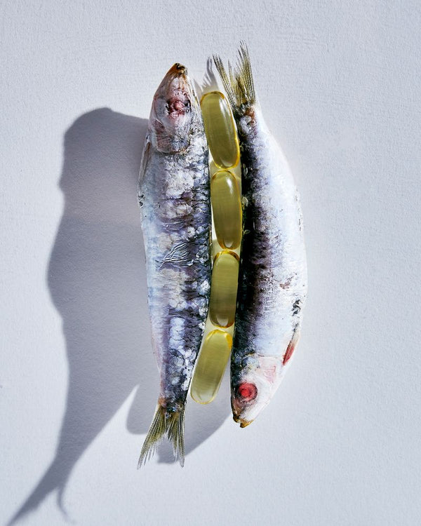 ScKIN Nutrition – Omega + – Nahrungsergänzungsmittel