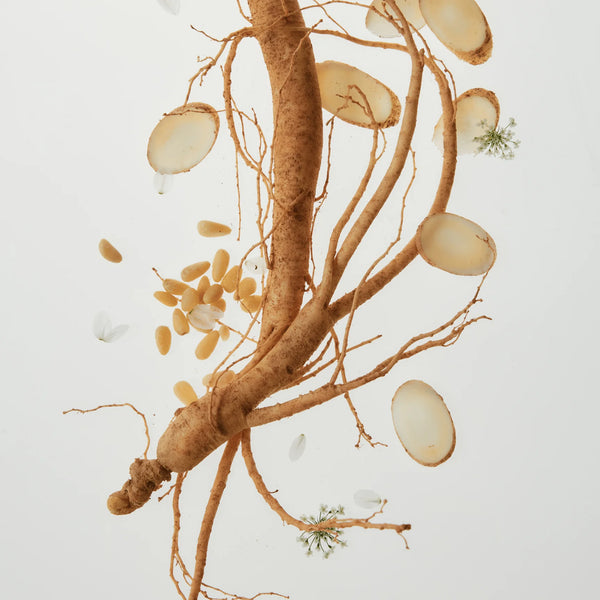 Beauty of Joseon -  Ginseng Essence Water – Hydraterende Gezichtsessence
