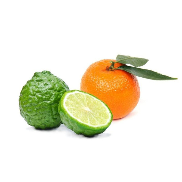 Taylor of Old Bondstreet  - Organic  Scheercrème 150g St James - Beauty Junkies