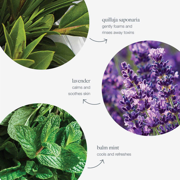 Dermalogica - Special Cleansing Gel Navulverpakking - Beauty Junkies