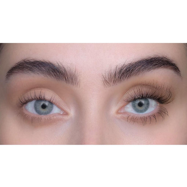 SWEED - Choco - Nepwimpers - Beauty Junkies