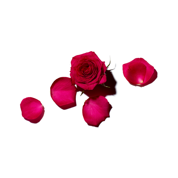 Benamôr - Rose Amélie Lip Cream - Beauty Junkies
