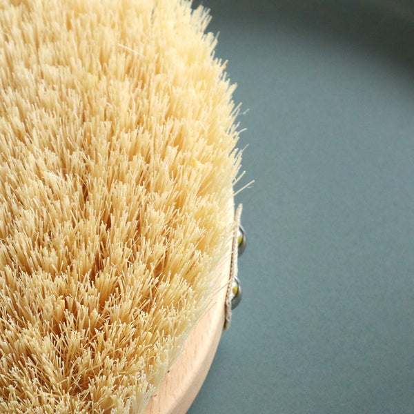 Aromatherapy Associates - Revive Body Brush - Lichaamsborstel op basis van cactusharen - Beauty Junkies