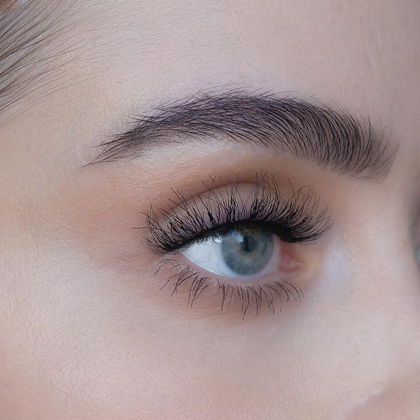 SWEED - Ash 3D - Nepwimpers - Beauty Junkies