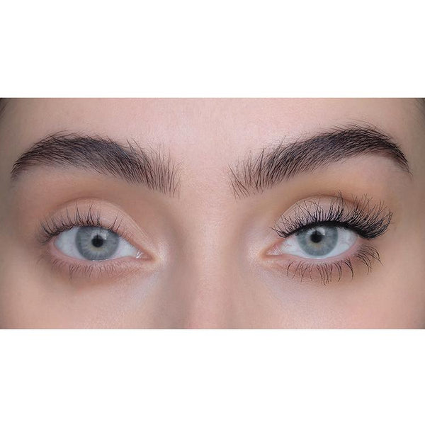 SWEED - Ash 3D - Nepwimpers - Beauty Junkies