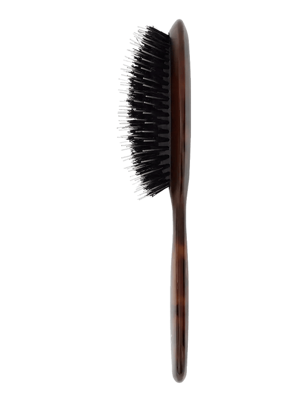 Fan Palm - Haarborstel Turtle Small