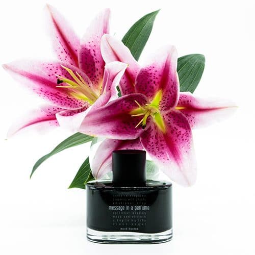 Mark Buxton - Message in A Perfume