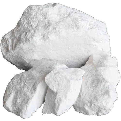 The Organic Pharmacy - Purifying Seaweed Clay Mask