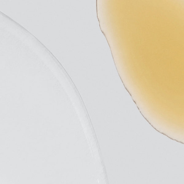 Dermalogica -  Phyto-Nature Firming Serum - Beauty Junkies