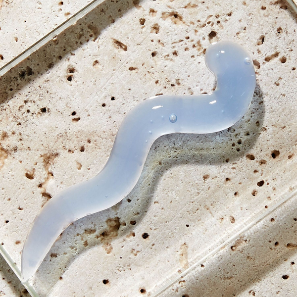 Absolution Cosmetics - Le Masque Anti-Soif Hydratant - travel size (15 ml) - Beauty Junkies